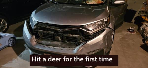 Silver SUV with severe front grill damage after hitting a deer during a bad day.