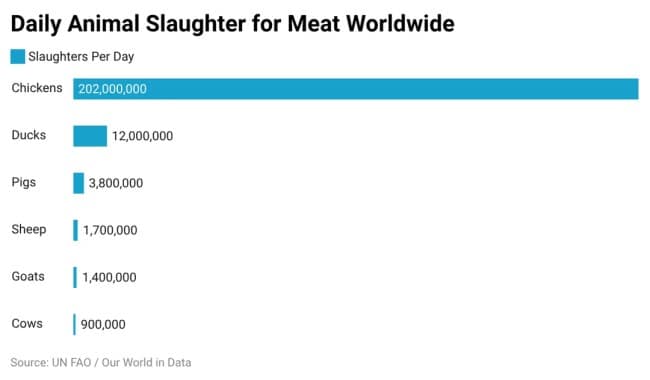 Daily animal slaughter for meat worldwide, one of the more sobering interesting infographics.