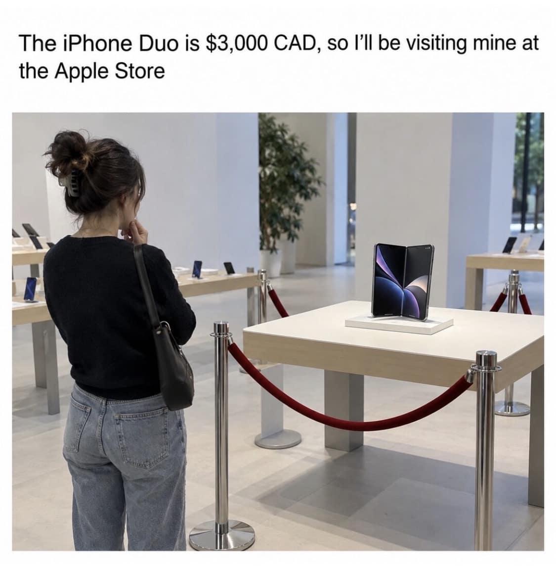 Woman standing behind museum-style velvet ropes at the Apple Store viewing a $3,000 foldable phone in an iphone duo meme.