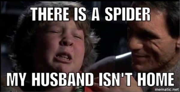 Crying boy meme paired with text about a spider arriving while the husband is away.