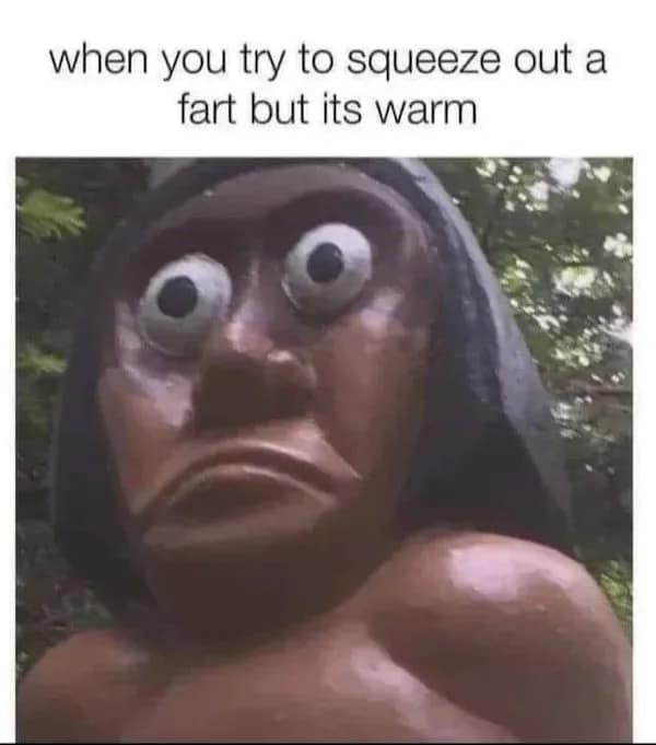 Terrified wide-eyed wooden statue face captioned with the panic of squeezing out a warm fart in a meme dump.