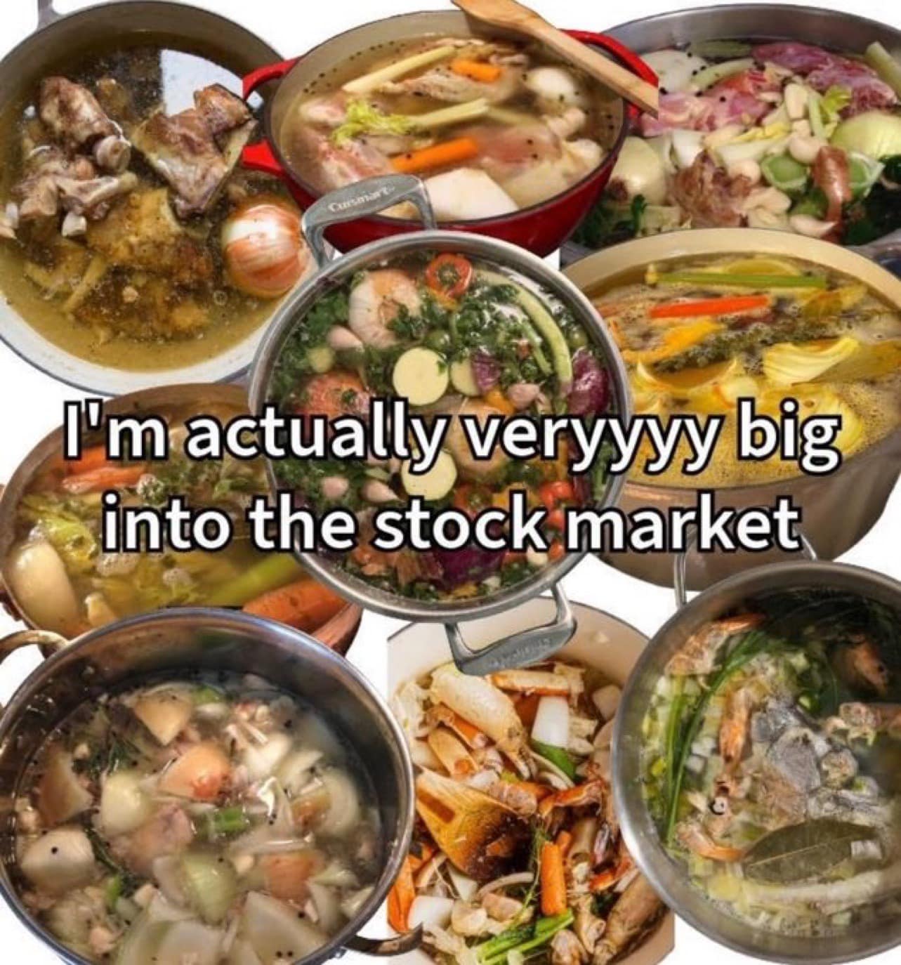 Photo collage of various vegetable and bone broths simmering in pots captioned 'I'm actually veryyyy big into the stock market' in a meme dump.