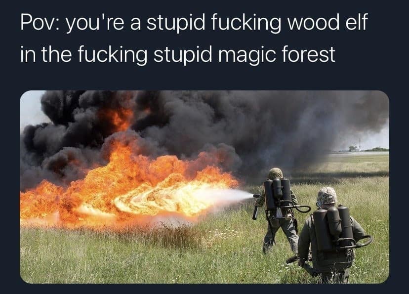 Soldiers firing heavy flamethrowers into a field captioned from the POV of an annoyed fantasy wood elf in a meme dump.