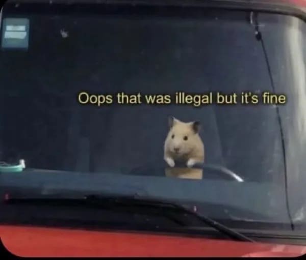 Tiny hamster holding a car steering wheel with a guilty text overlay 'Oops that was illegal but it's fine' in a meme dump.