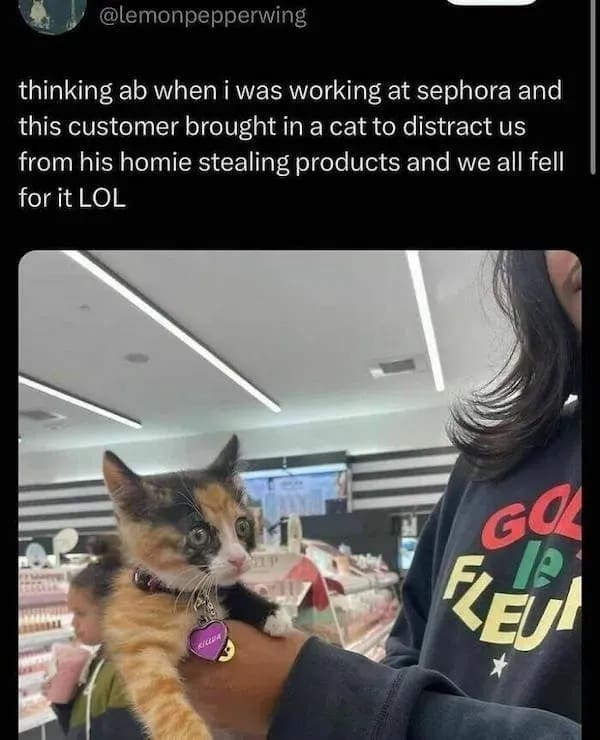 Sephora worker tweet recalling shoplifters using a cute calico kitten as a distraction in a meme dump.