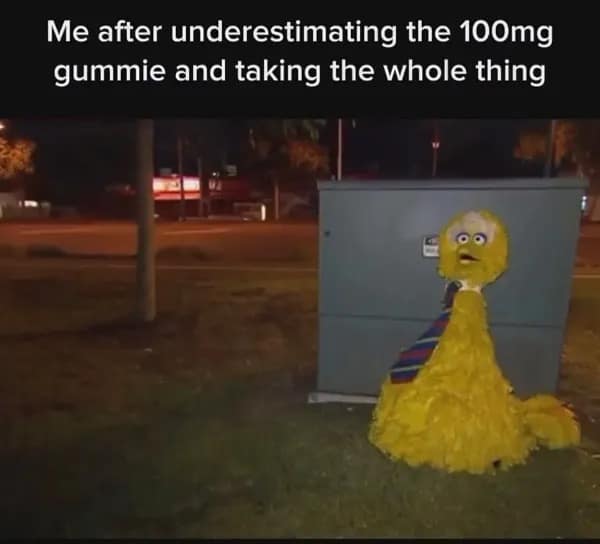 Photo of Big Bird in a tie slumped against a utility box at night captioned taking a 100mg edible in a meme dump.