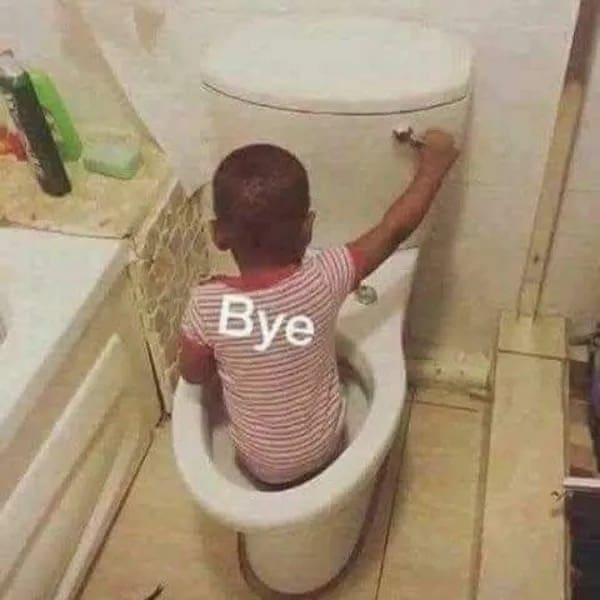 Toddler sitting inside a white toilet bowl reaching up to press the flush handle labeled 'Bye' in a funny memes photo.