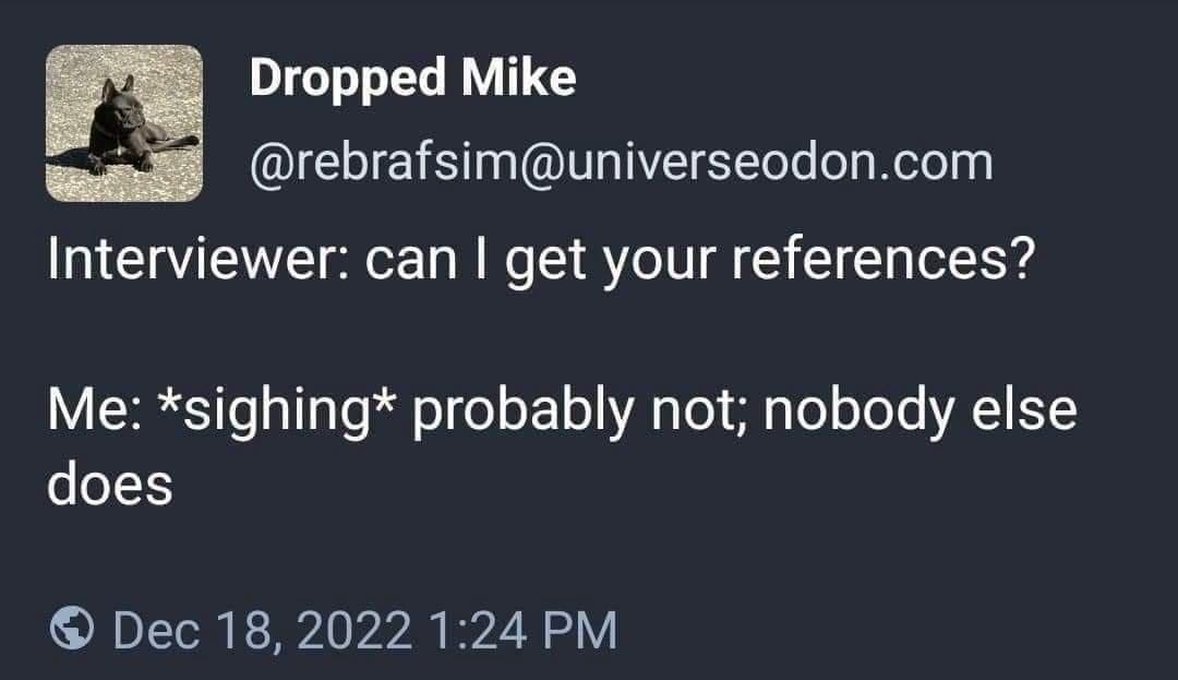 Text post pun misinterpreting a job interviewer's request for references in a meme dump.