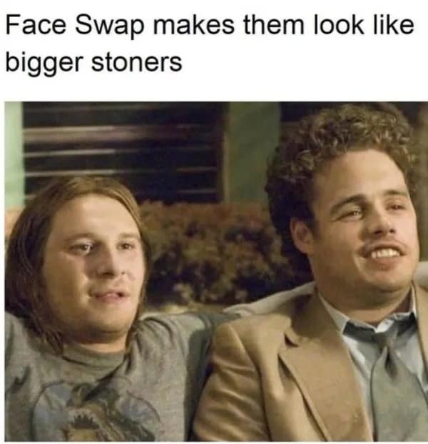 Seth Rogen and James Franco face-swap from Pineapple Express making them look like even bigger stoners in a meme dump.