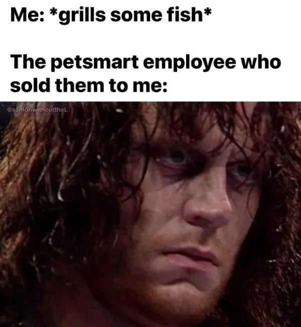 Intense wrestling reaction face representing a PetSmart employee discovering what happened to the pet fish in a hilarious memes compilation.