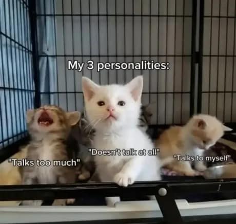 Three kittens in a cage labeled with different communication styles to illustrate split personalities in a meme dump.