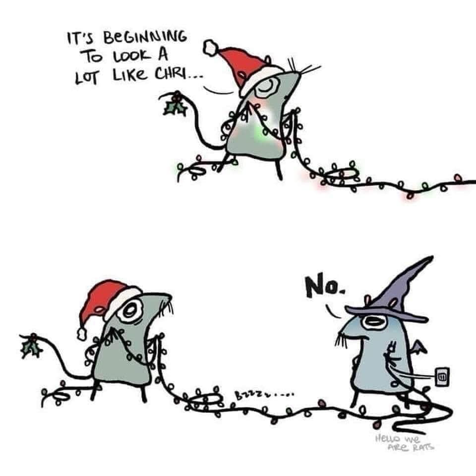Two-panel rat webcomic depicting a witch rat pulling the plug on an early Christmas rat in a meme dump.