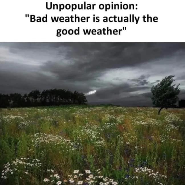 Dark stormy sky over a green wildflower field captioned with an unpopular opinion declaring bad weather as good weather, shared in a meme dump.