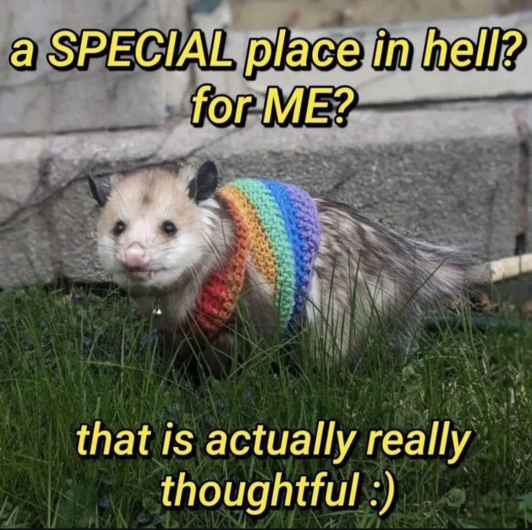 Pet opossum wearing a hand-knitted rainbow sweater in green grass captioned about finding a special place in hell thoughtful in a meme dump.