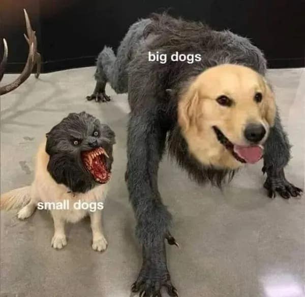 Comparison of dog personalities using a friendly Golden Retriever head on a werewolf body versus a snarling pug monster in a meme dump.
