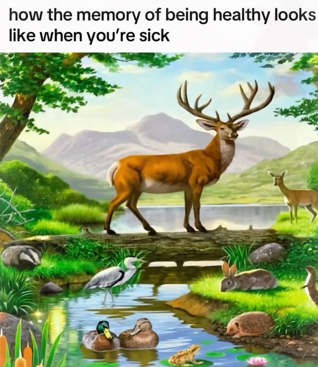 A meme dump photo of a serene forest filled with wild deer and woodland creatures illustrating how health feels during illness.