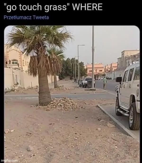 Barren desert street lined with dry dirt and palm trees captioned with a sarcastic response asking where to touch grass in a meme dump.