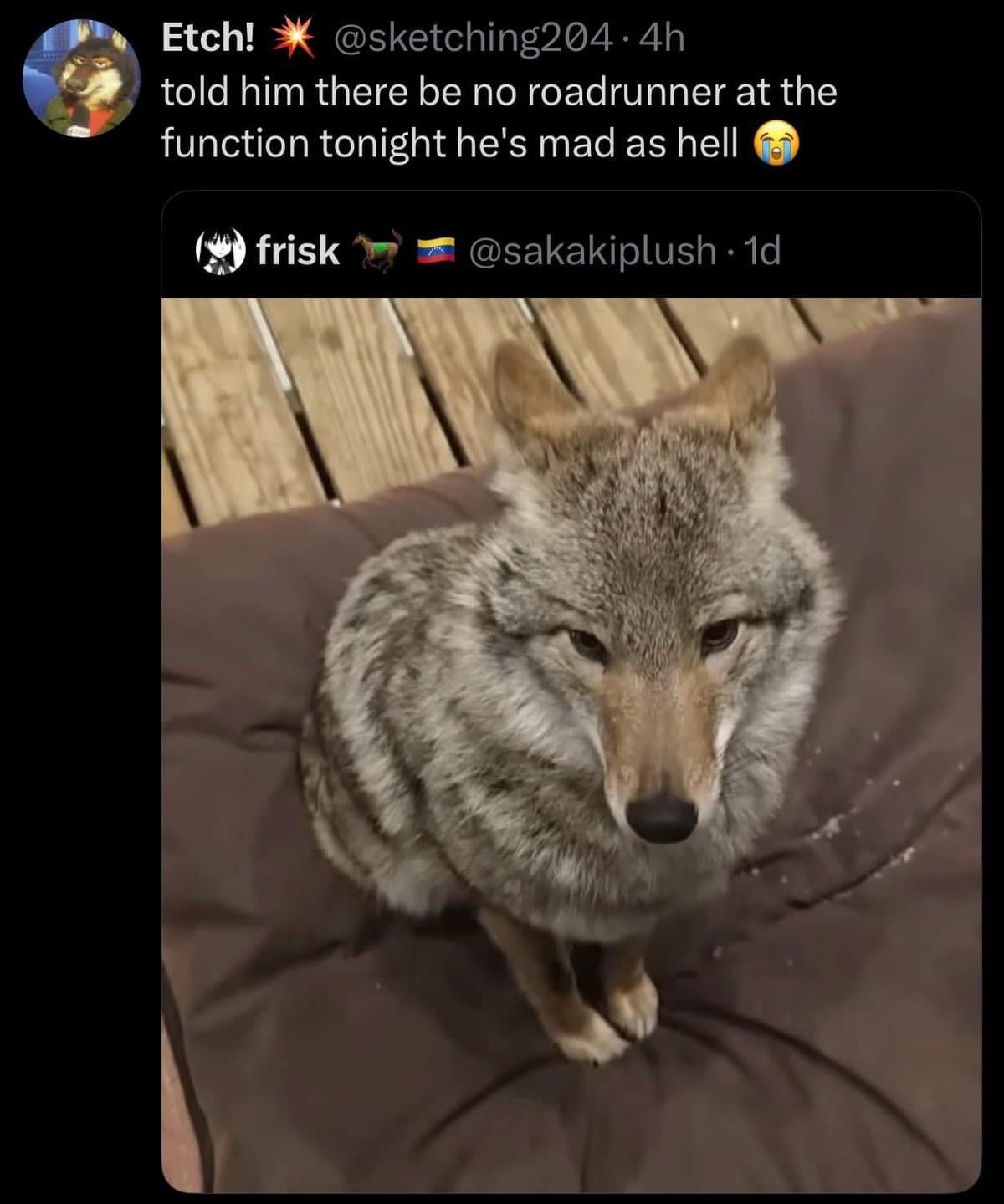 Moping coyote sitting indoors captioned as being disappointed that no roadrunner was present at the party in a meme dump.