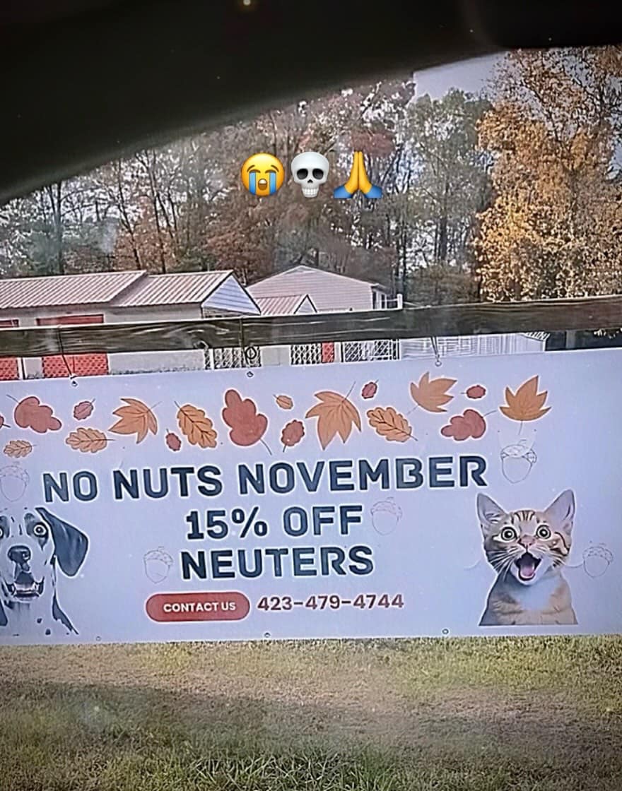 Veterinary clinic roadside banner advertising 'NO NUTS NOVEMBER 15% OFF NEUTERS' with happy pets in a meme dump.