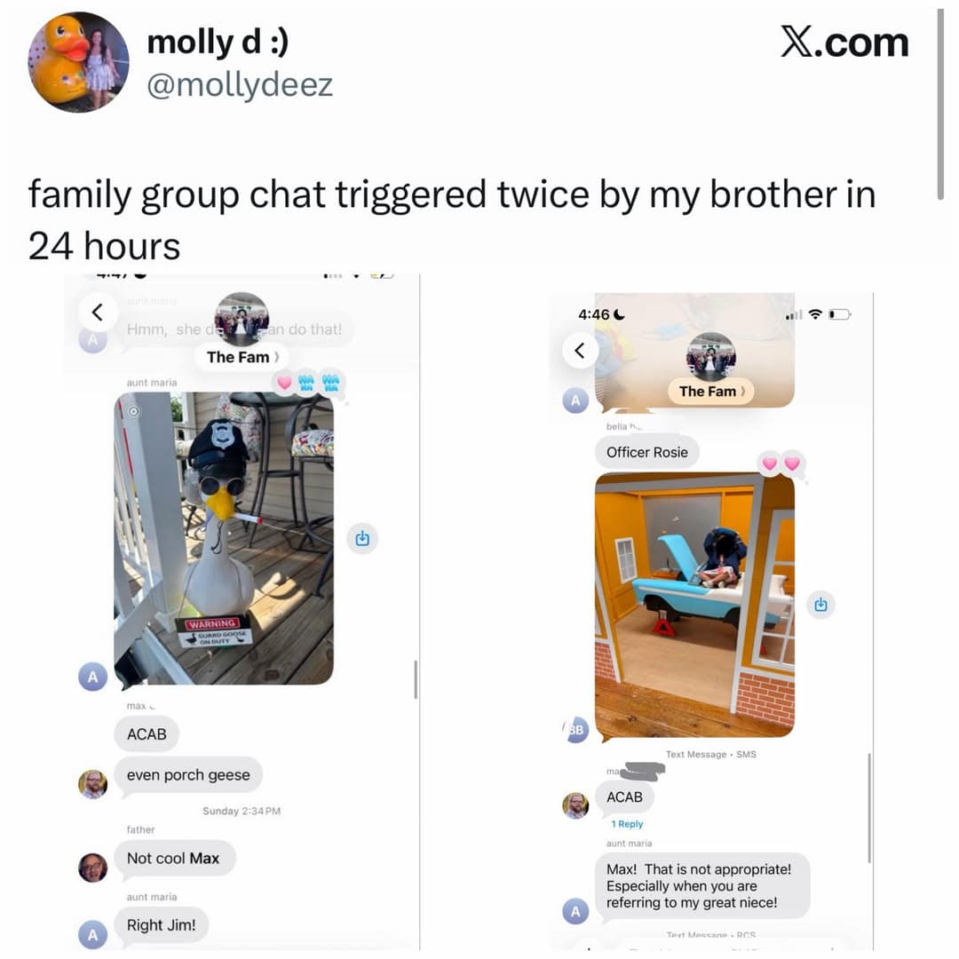 Family group chat screenshots where a brother causes outrage twice by commenting ACAB under photos of a porch goose dressed as a cop in a meme dump.