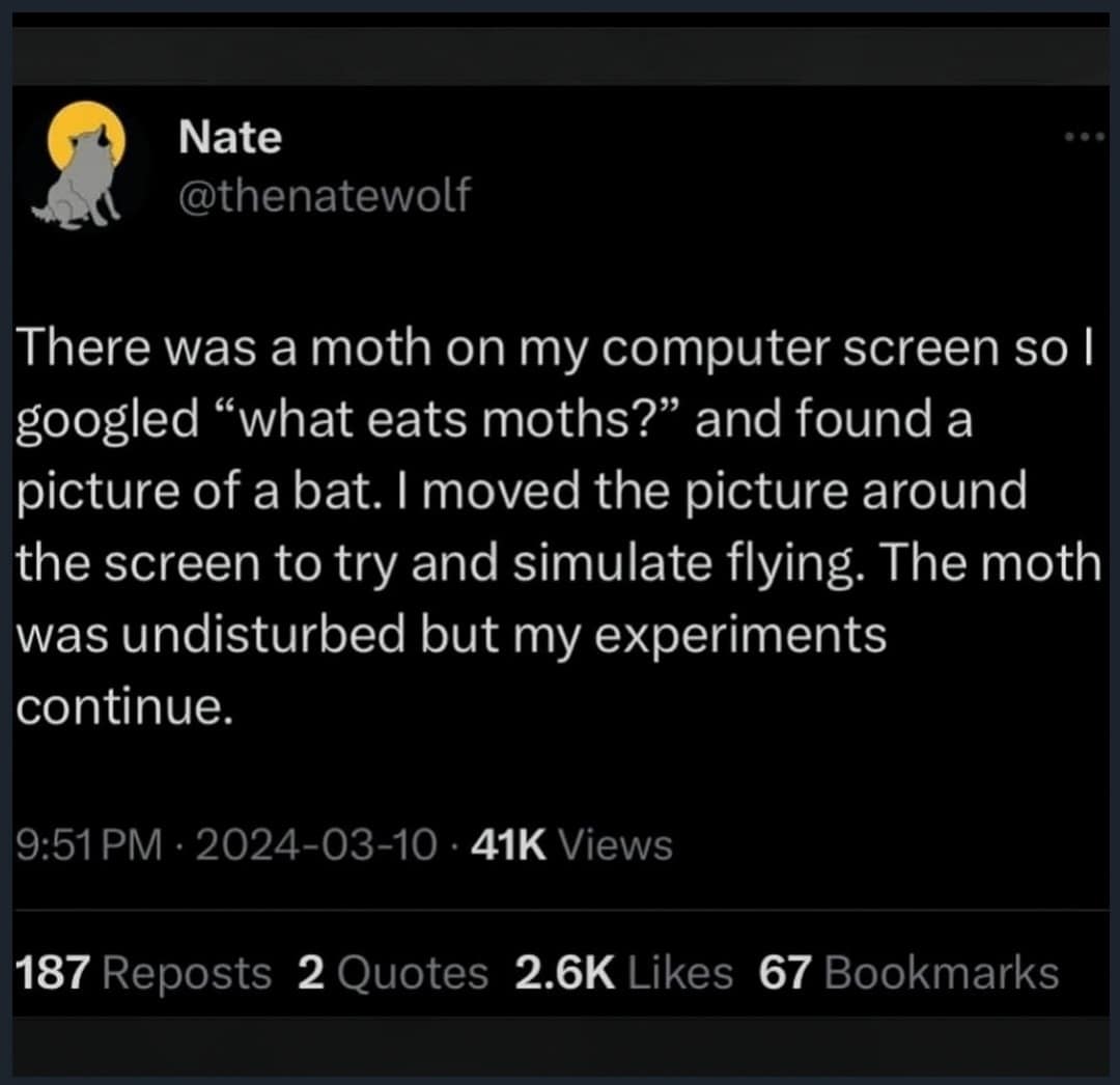 Dark mode tweet detailing a hilarious failed experiment of dragging a Google search image of a flying bat around a computer screen to scare off a moth in a meme dump.