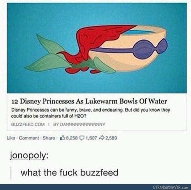Screenshot of an absurd vintage article reimagining Disney princesses as lukewarm bowls of water, featured in a hilarious memes dump.