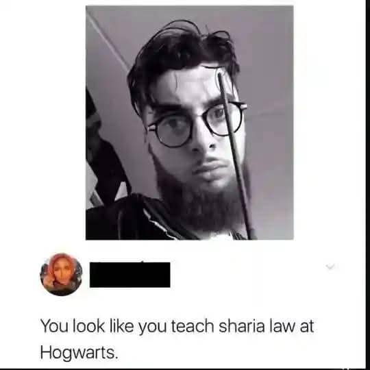Selfie of a man holding a wooden stick like a wand paired with a hilarious roast about teaching Sharia law at Hogwarts in a meme dump.