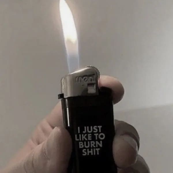 Lit pocket lighter bearing the blunt printed text 'I JUST LIKE TO BURN SHIT' in a hilarious memes image.