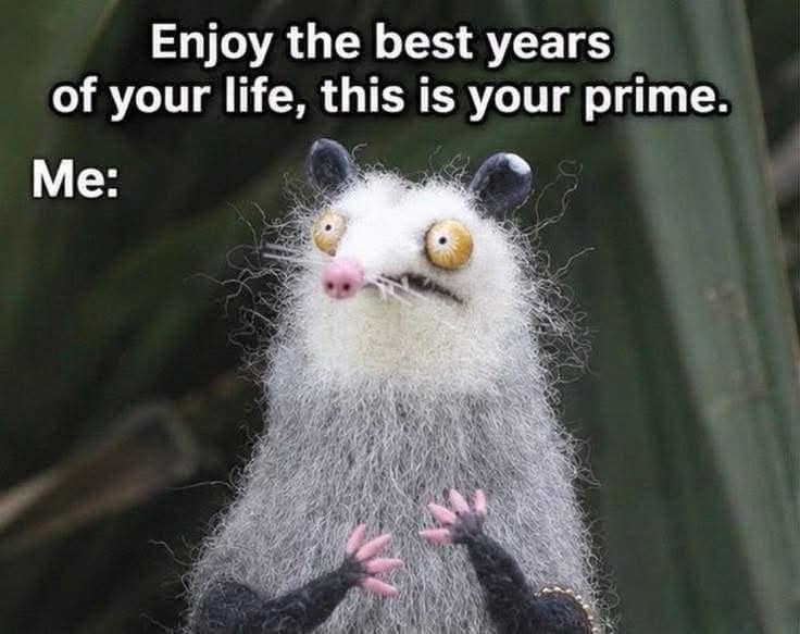 Wide-eyed unhinged felt opossum looking stressed under text telling adults to enjoy the prime of their life in a hilarious meme.
