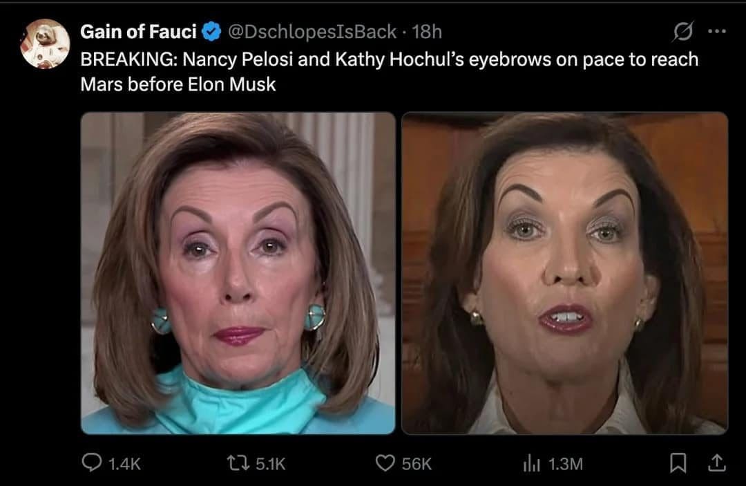 Tweet joking about the dramatic eyebrows of Nancy Pelosi and Kathy Hochul.