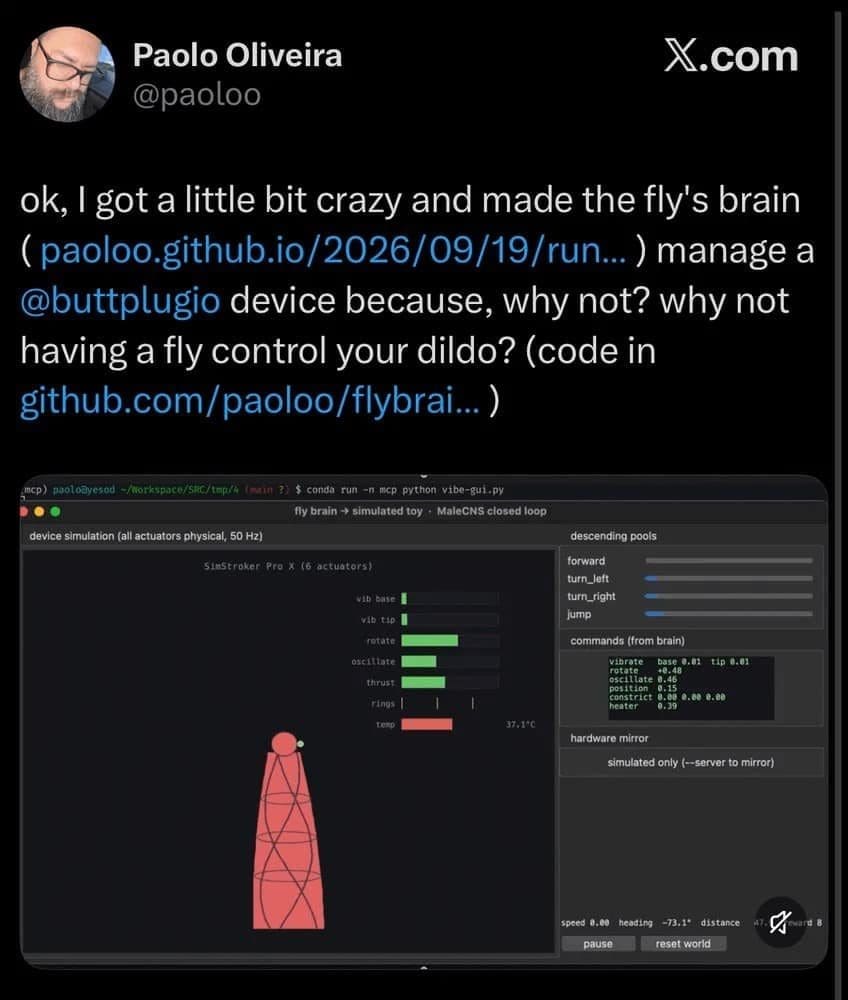 Tweet about a programmer wiring a simulated fly brain to control an adult device.