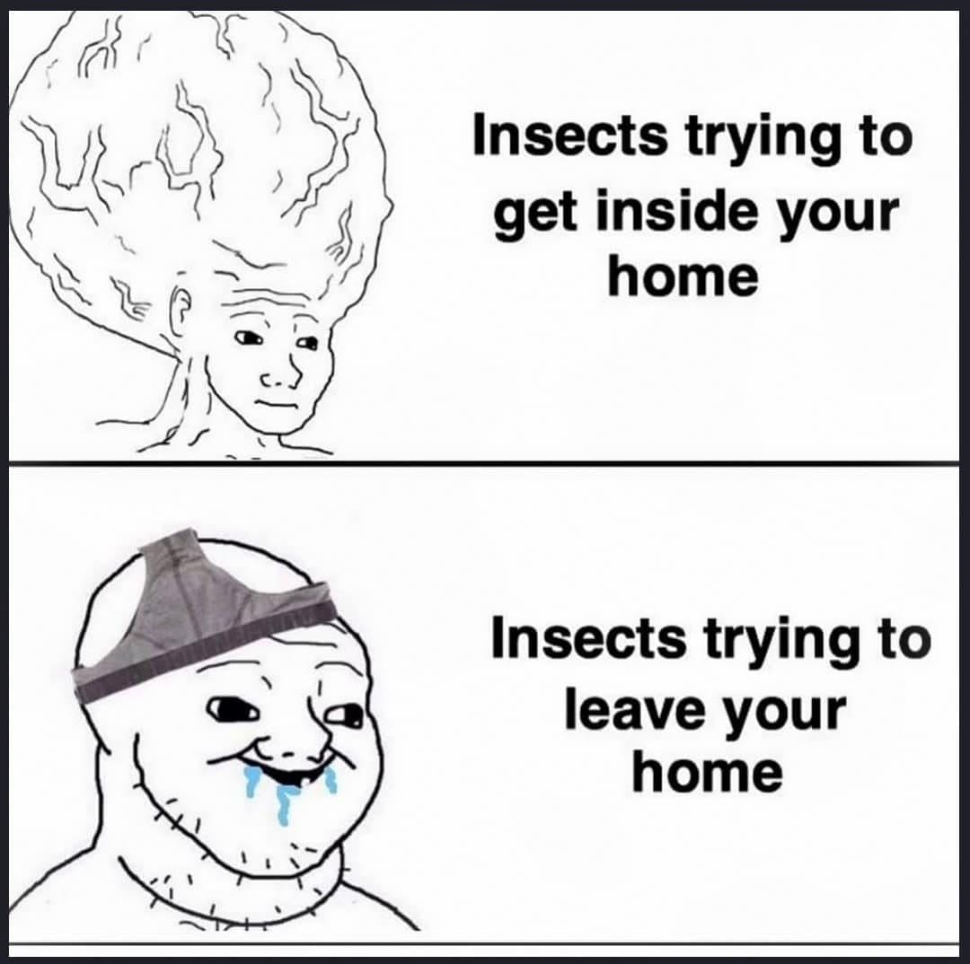 Meme dump comic about bugs desperate to get inside and helpless trying to leave.