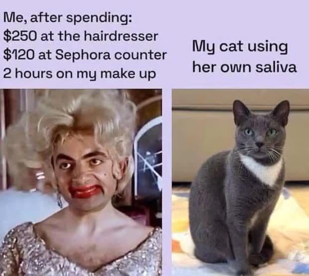 Mr. Bean in heavy makeup compared with a cat that grooms itself with saliva.