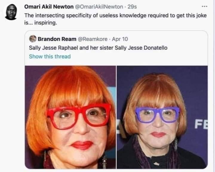 Meme dump tweet renaming Sally Jessy Raphael in purple glasses Sally Jesse Donatello.