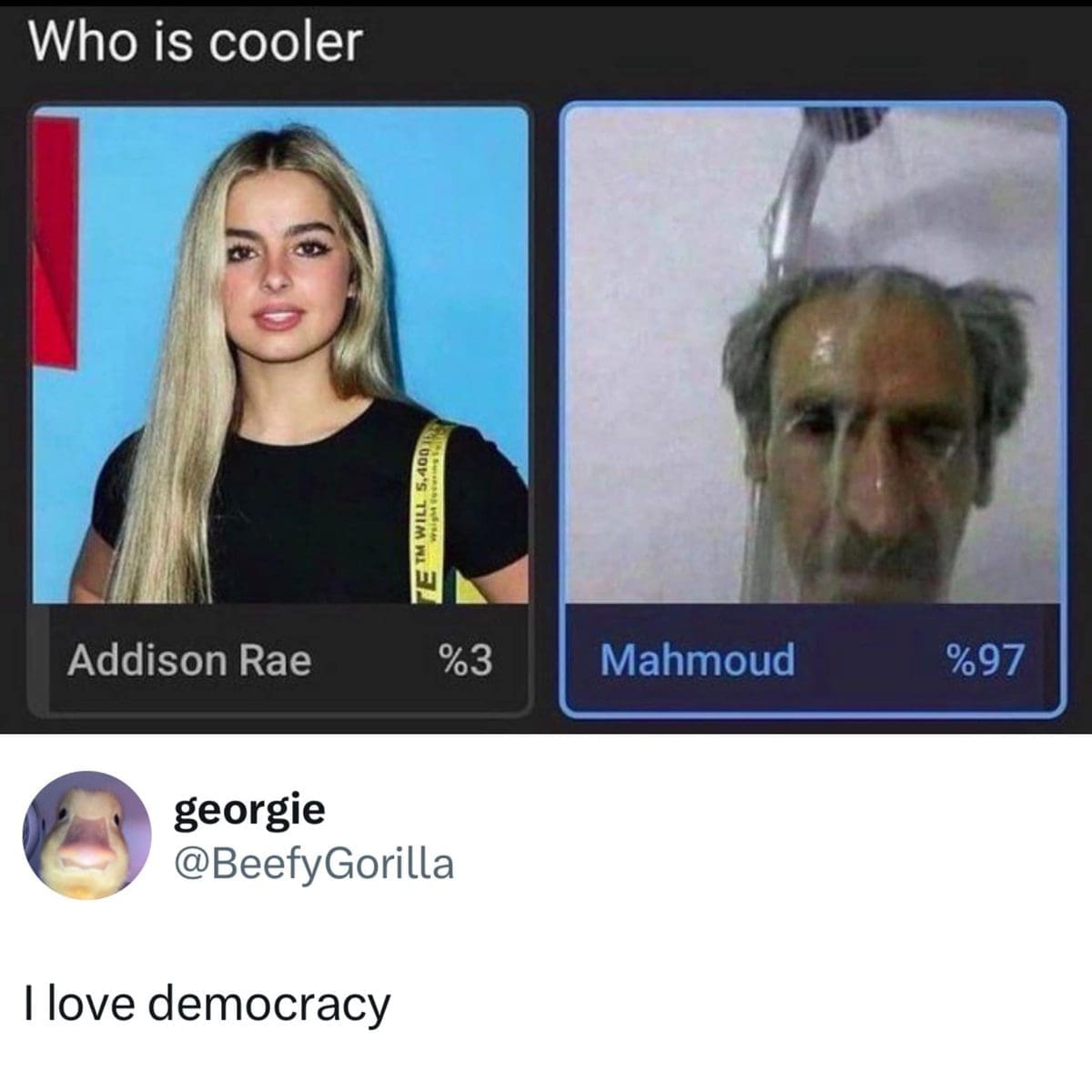 Meme dump poll where a soaking wet man named Mahmoud beats Addison Rae for coolest.