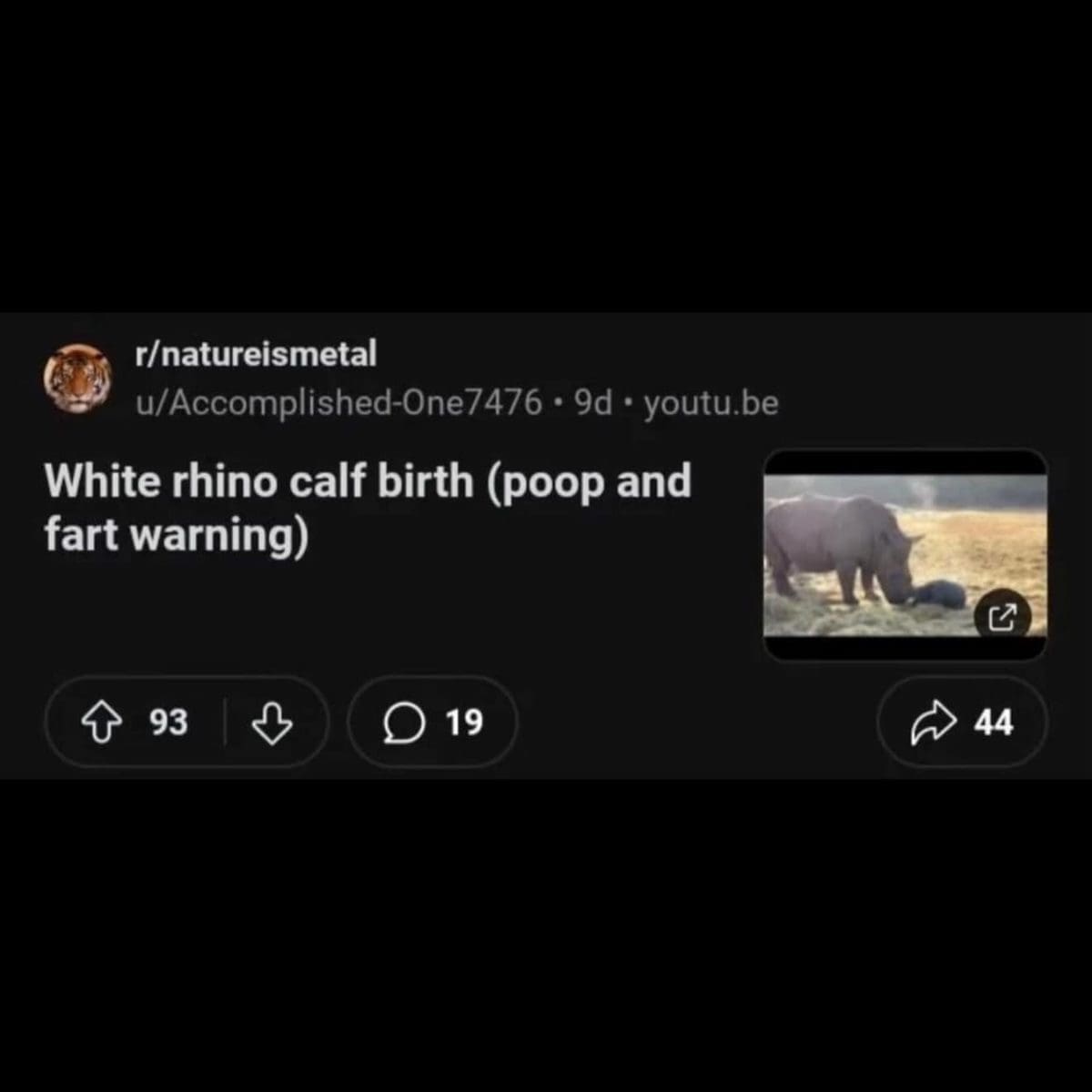 Meme dump Reddit post about a rhino calf birth, with a poop and fart warning.