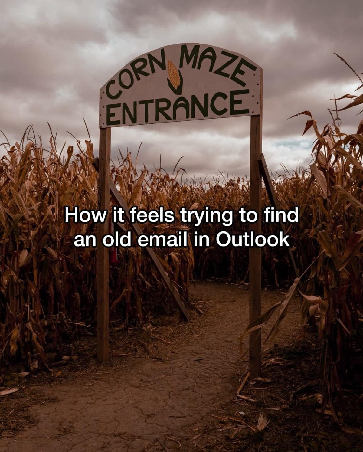 Meme dump opener comparing a corn maze entrance to finding an old Outlook email.