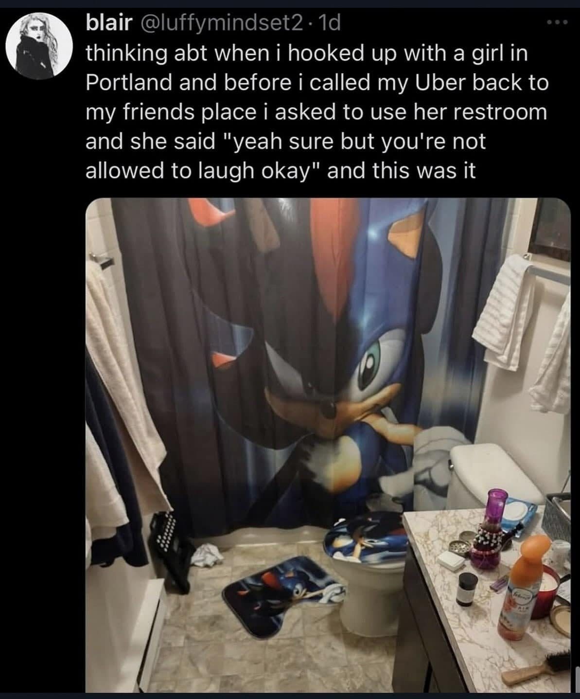 Meme dump bathroom photo with a Sonic shower curtain, toilet cover and matching bath mat.