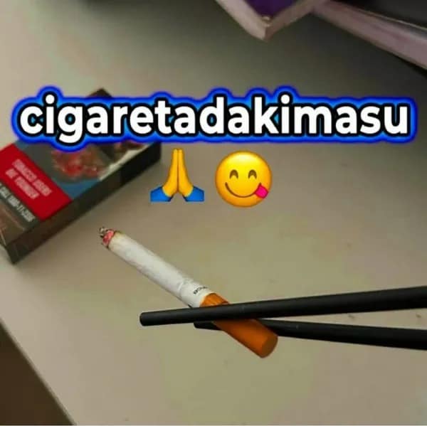 A lit cigarette held with black chopsticks next to a cigarette pack, captioned with Japanese-inspired text 'cigaretadikimasu' in a meme dump.