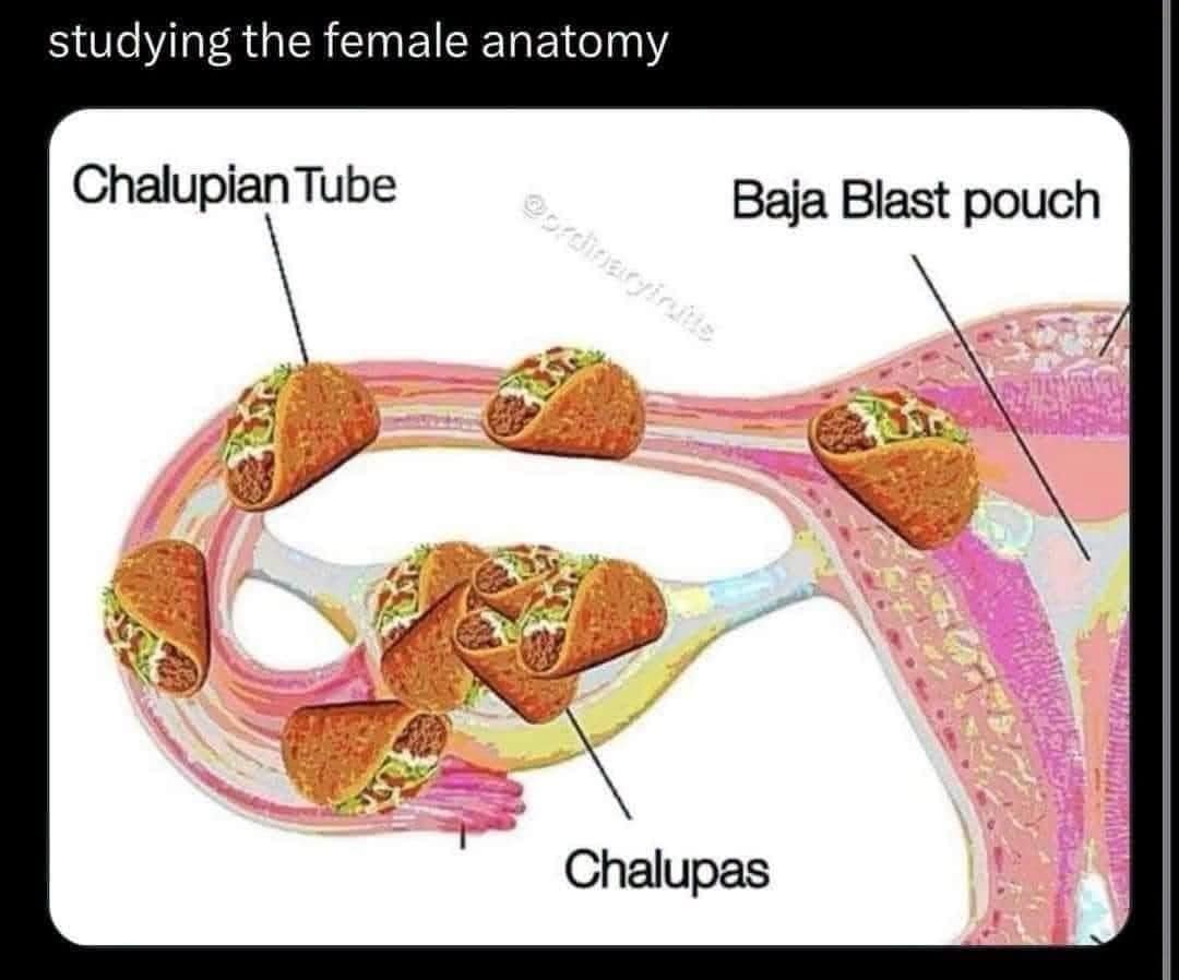 Anatomical chart of the female reproductive system humorously relabeled with Taco Bell menu items like Chalupian Tube in a funny meme.