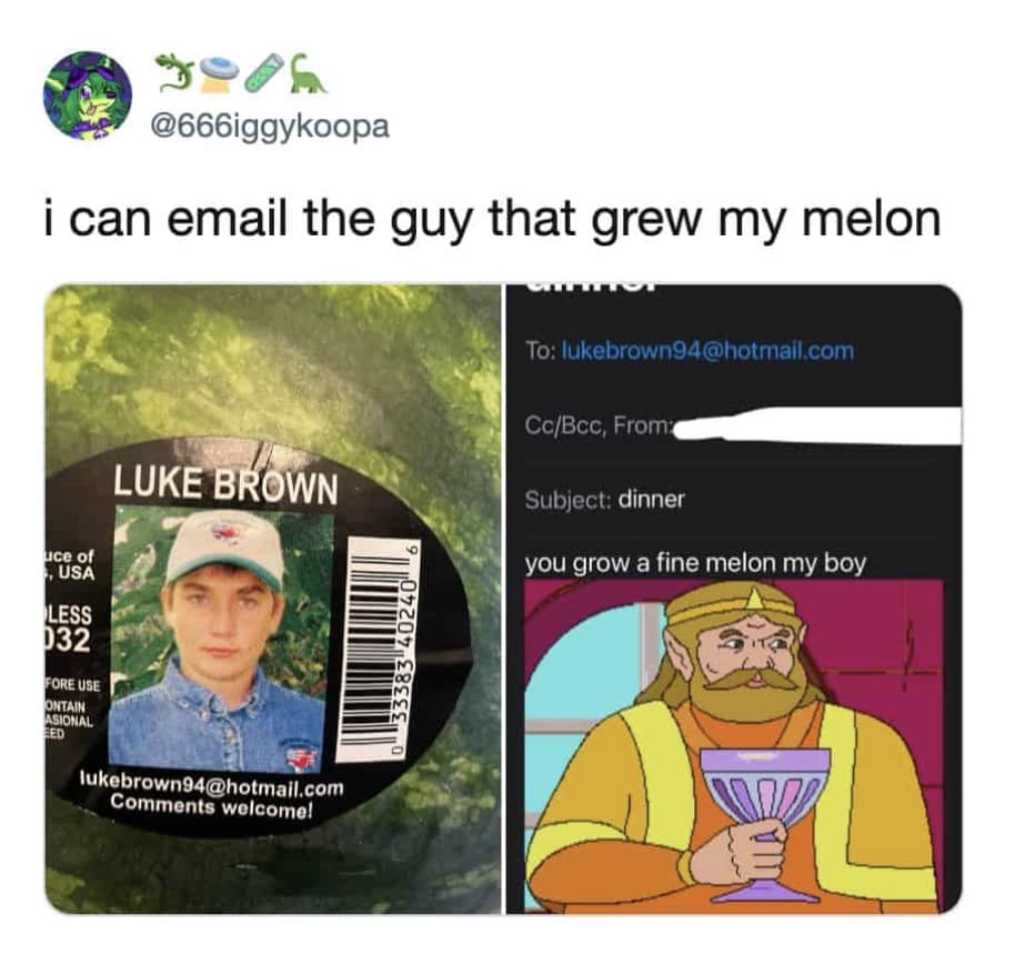 Screenshot of someone emailing a melon farmer directly to compliment his produce using a Zelda CD-i king meme in a hilarious meme.