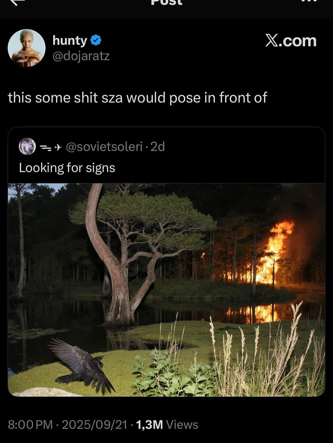 Dramatic night photo of a forest fire across a swamp with a flying raven captioned as an album cover backdrop in a funny memes post.