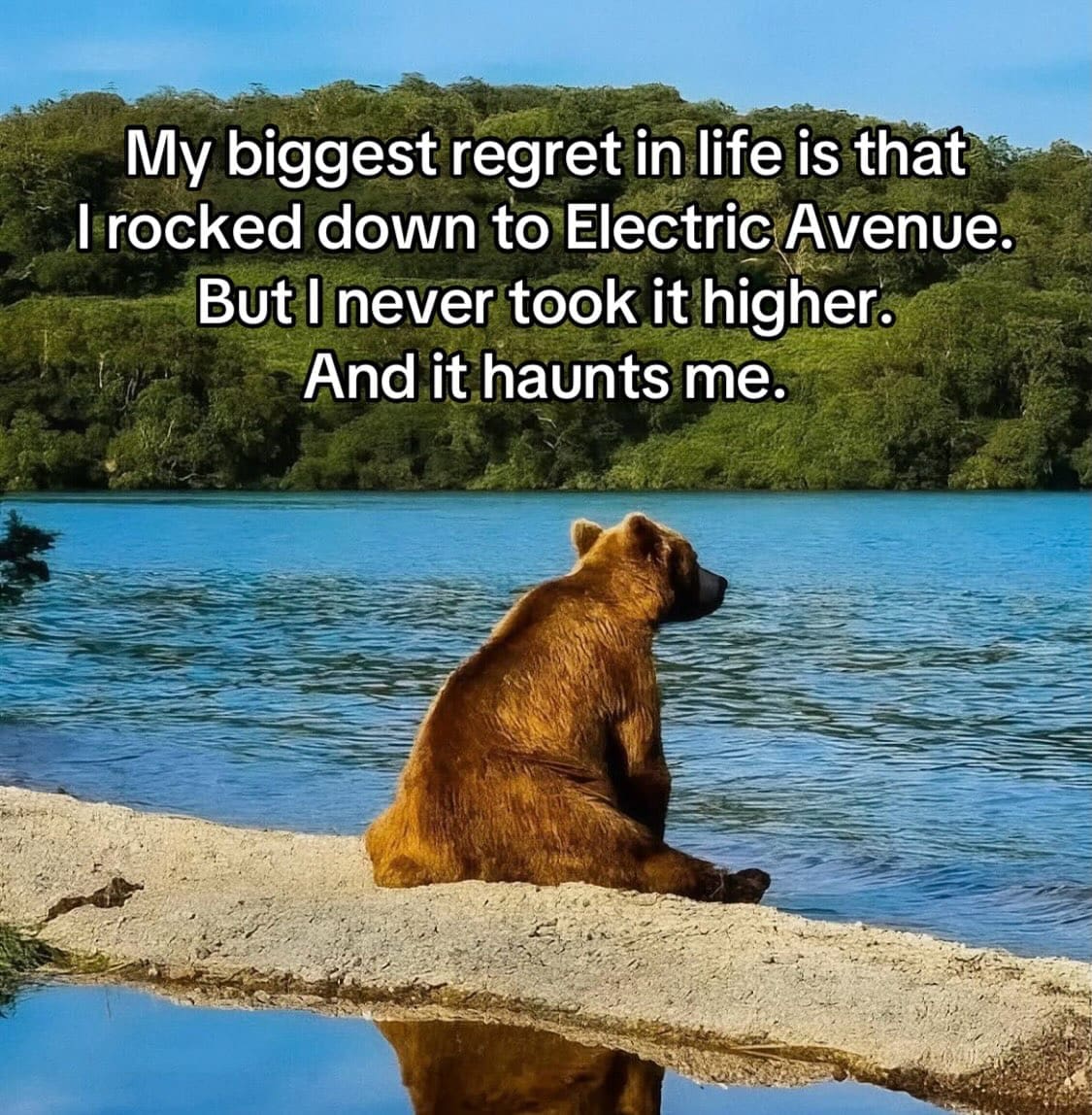 Melancholy bear gazing over a calm lake thinking about regret over Eddy Grant song lyrics, shared as a meme dump classic.