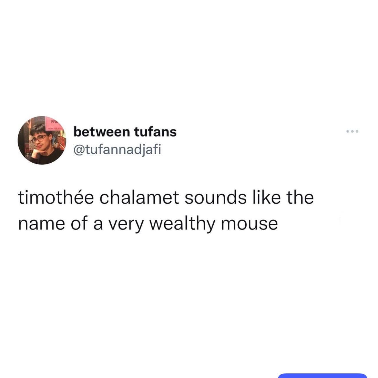 A meme dump tweet observing that the name Timothée Chalamet sounds like an extraordinarily wealthy Victorian mouse.