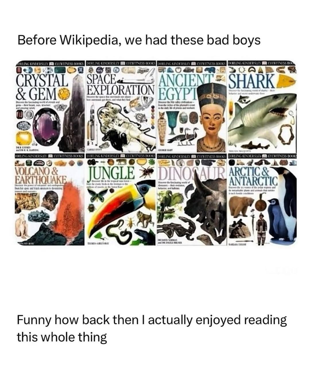 Nostalgic grid of DK Eyewitness educational books from childhood, featured in a funny meme about pre-Wikipedia research.