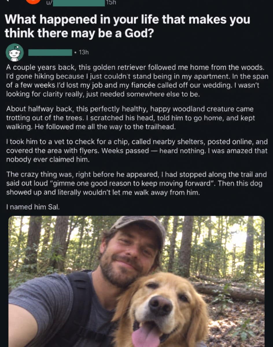 Heartwarming Reddit screenshot telling the story of a stray golden retriever named Sal who saved a man's life in a meme dump.