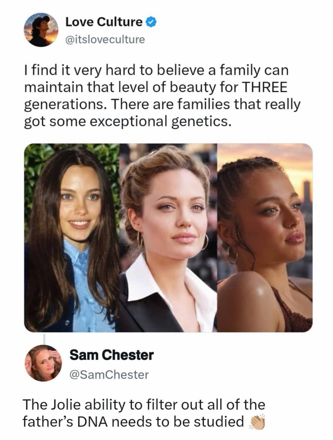 Tweet thread praising three generations of beauty in the Jolie family while joking about filtering out Jon Voight's genetics in a meme dump.