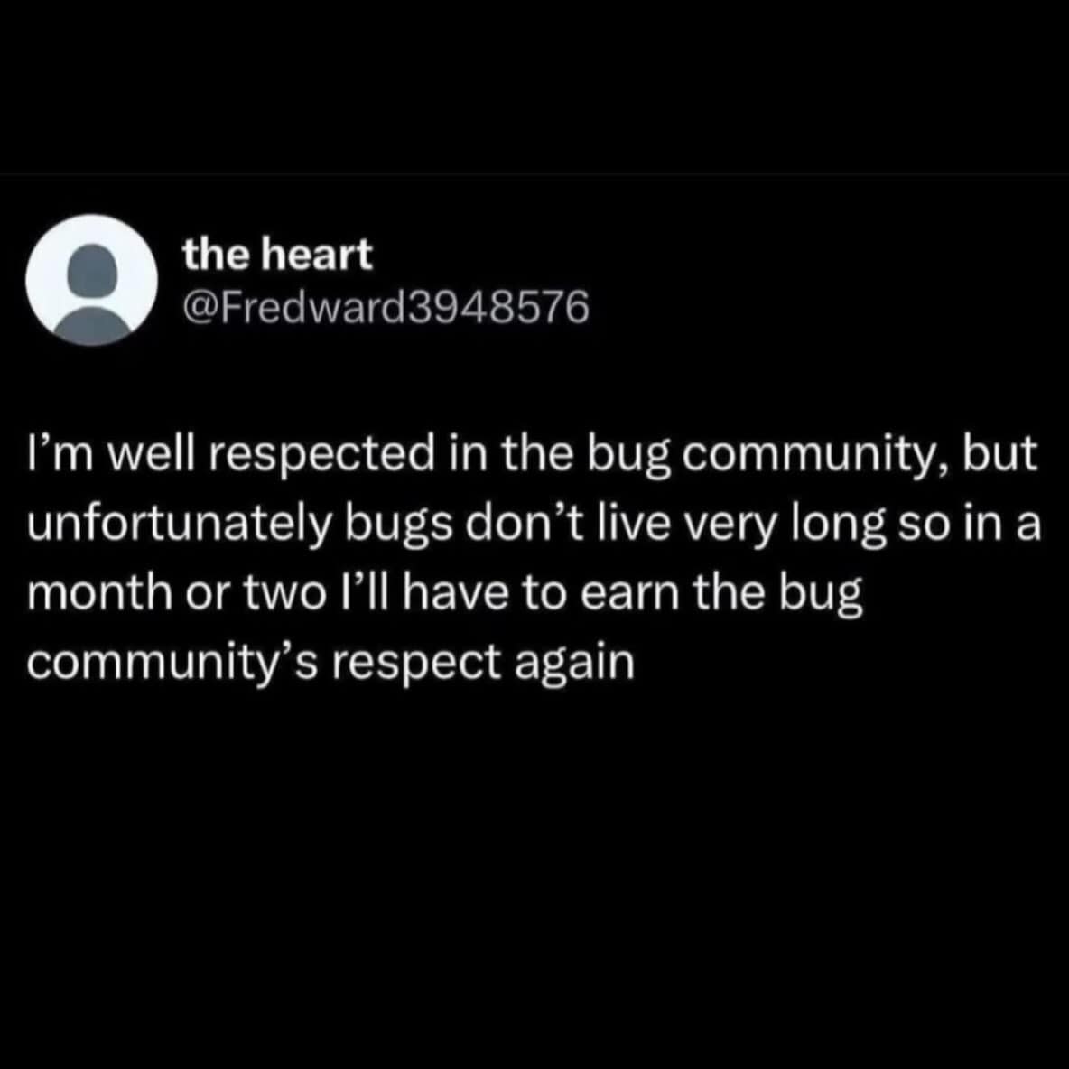 Text tweet lamenting the constant need to earn respect from the bug community due to their short lifespans in a meme dump.