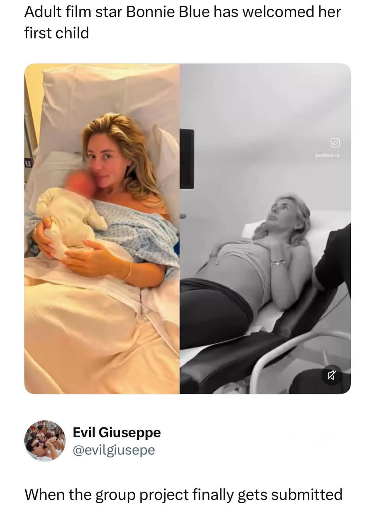 News post about adult film star Bonnie Blue giving birth paired with a tweet comparing it to submitting a group project in a meme dump.
