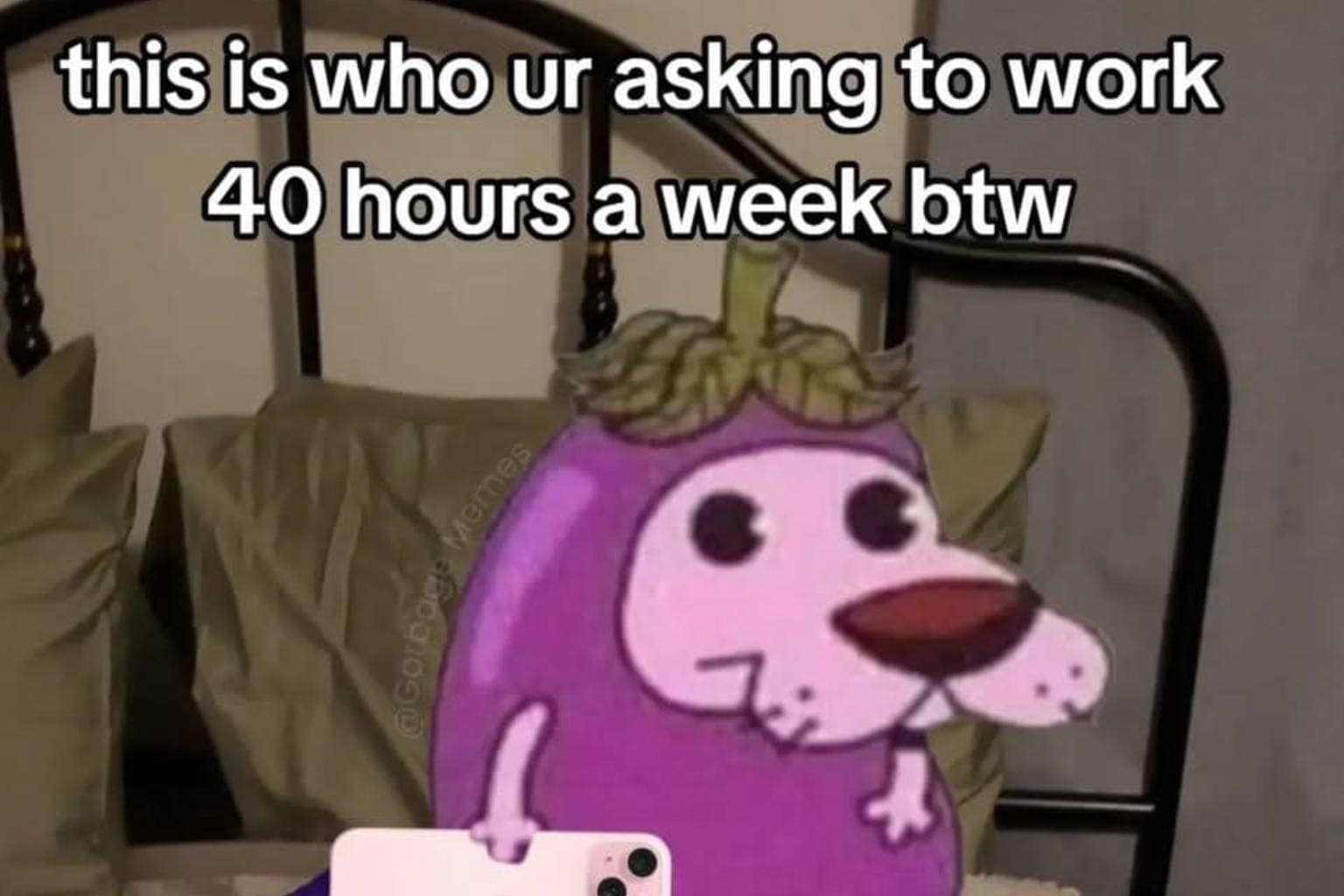 An expansive meme dump gallery packed with surreal internet humor and pop culture satire, featuring Courage the Cowardly Dog edited as a bed-bound eggplant eating rotisserie chicken, a father in a beekeeper suit carrying a baby bumblebee, and a Chihuahua named Nugget looking utterly intoxicated after three whipped cream pup cups.